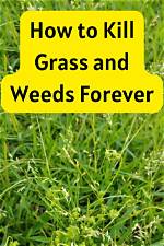What Will Kill Grass