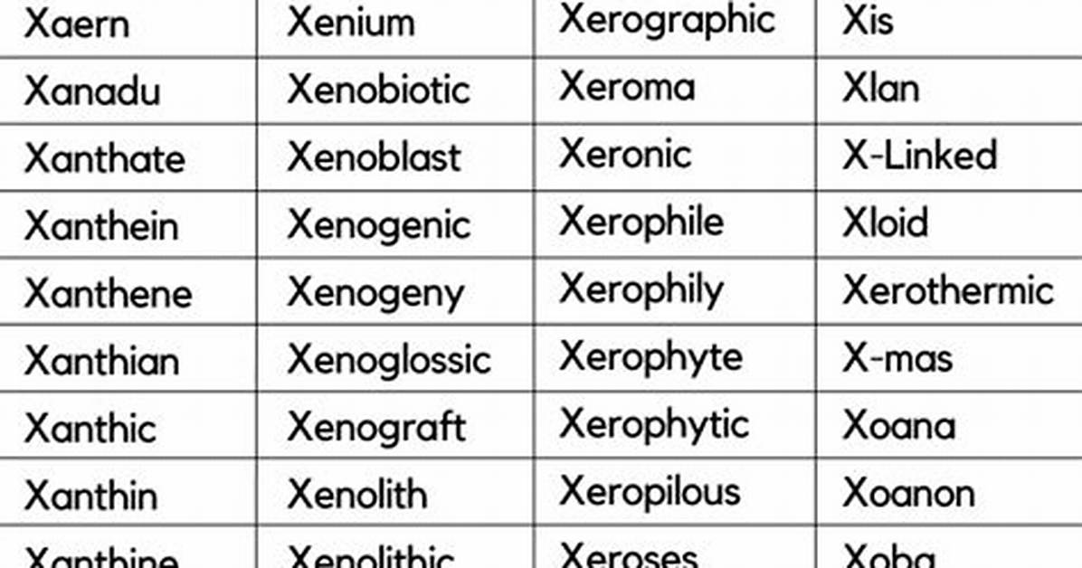 What Word Begins with Ex?