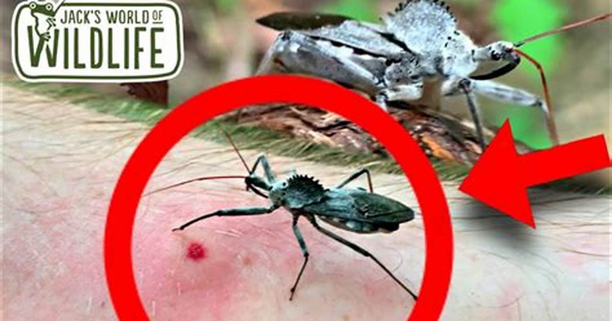 Wheel Bug Bite