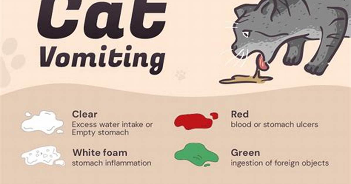 When a Cat Vomits?