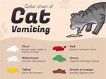 When a Cat Vomits?