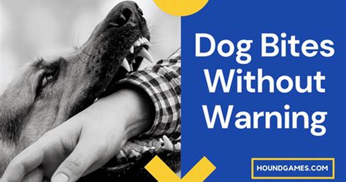 When a Dog Bites Without Warning?