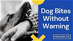 When a Dog Bites Without Warning?