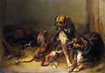 When a Dog Whelps?