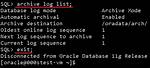 When Archive Log Generated in Oracle?