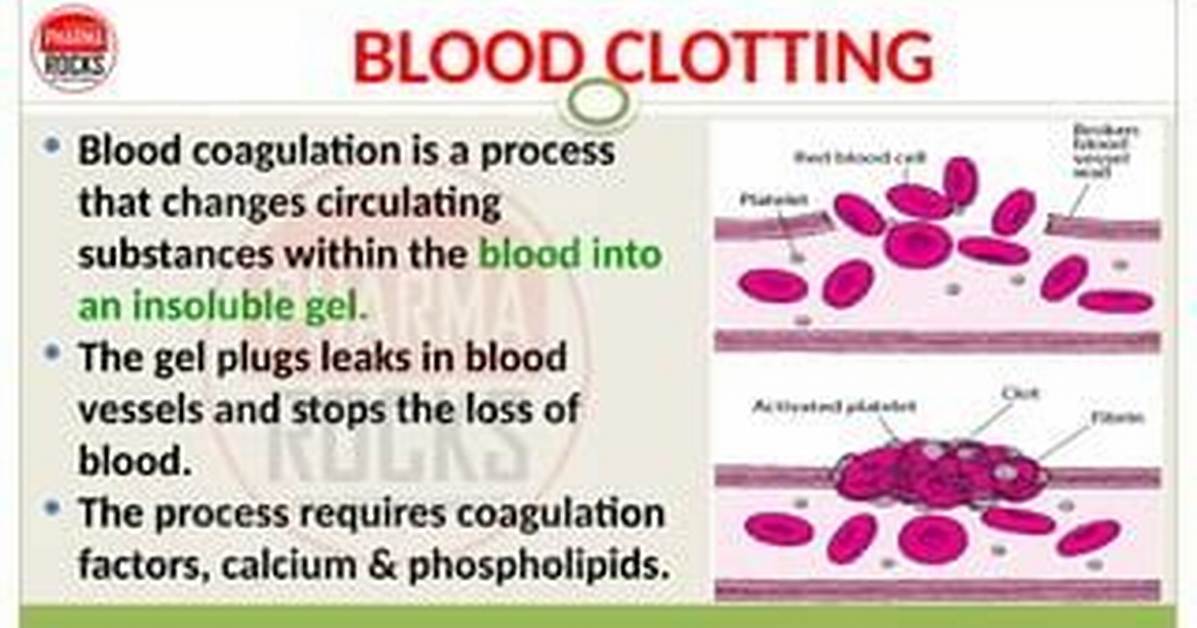 When Blood Stops Circulating?