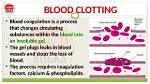 When Blood Stops Circulating?