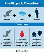 When Bubonic Plague Started?