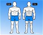 When Bulking or Cutting?