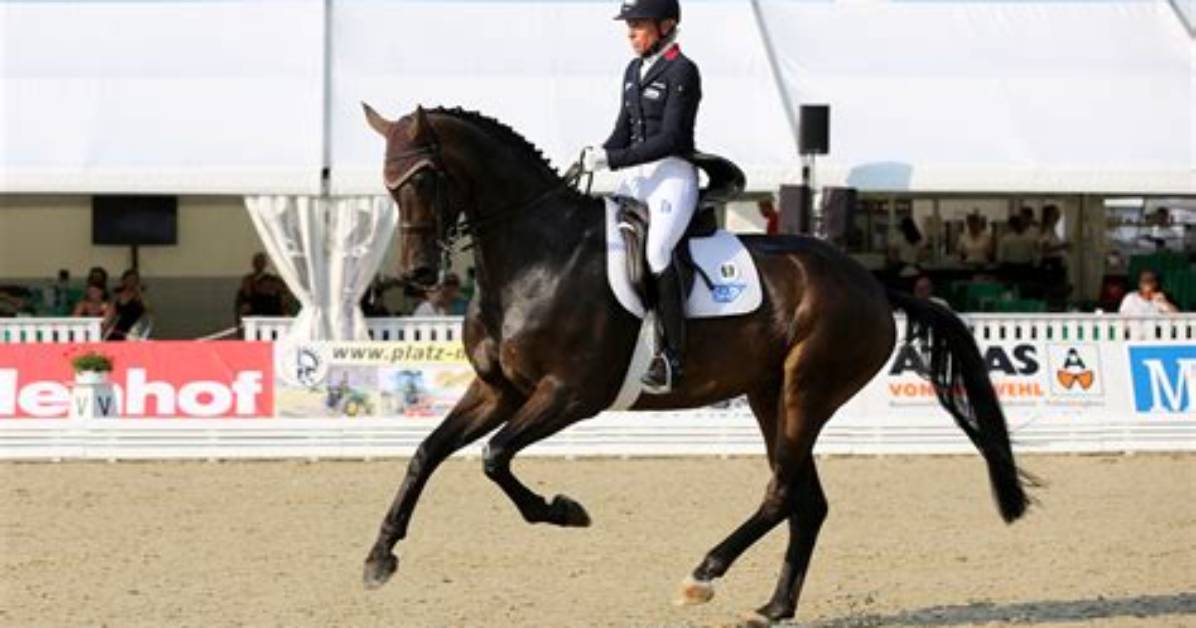 When Can I Start Cantering?