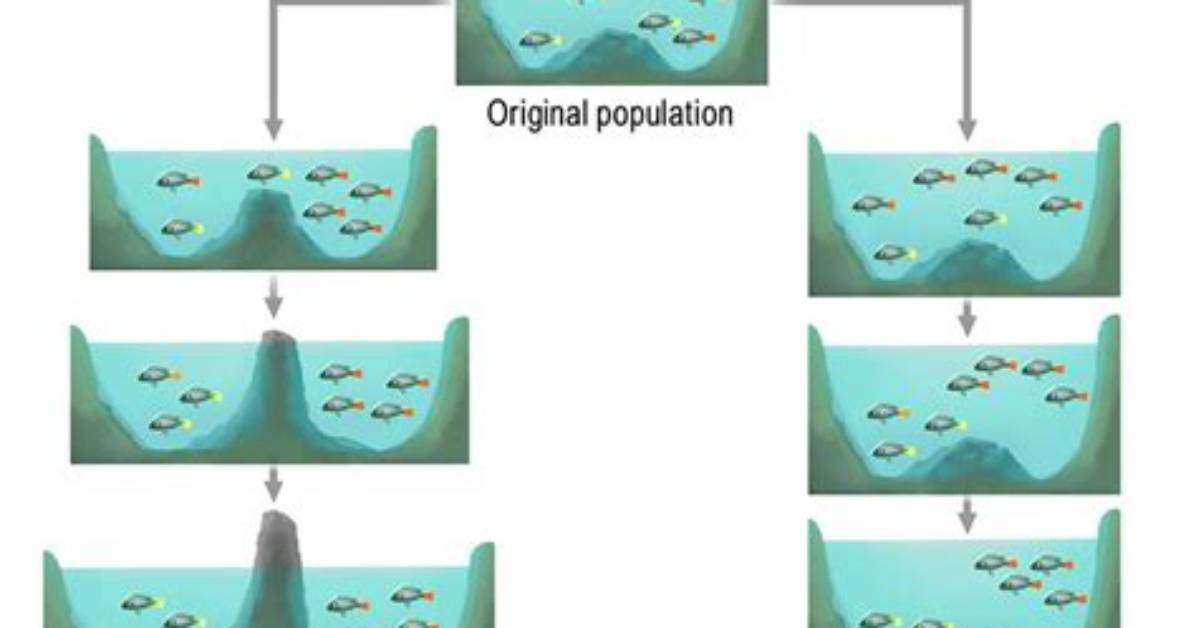 When Can Speciation Occur?