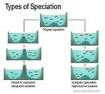 When Can Speciation Occur?