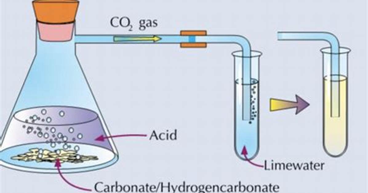 When Co2 Is Bubbled?