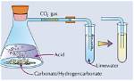 When Co2 Is Bubbled?
