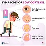 When Cortisol Is Low?