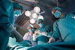 When Did Appendectomies Become Common?