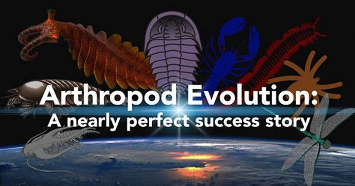When Did Arthropods Evolve?