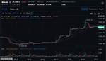 When Did Bitcoin Skyrocket?