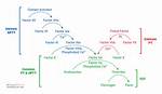 When Did Coagulation Start?