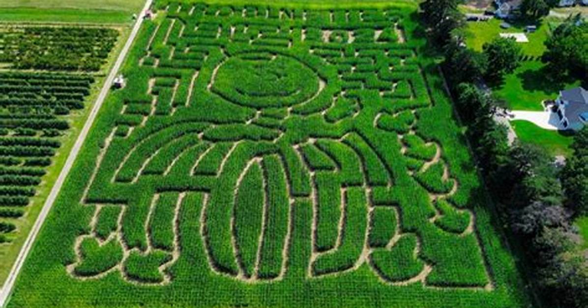 When Did Corn Mazes Start?