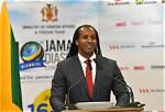 When Did Diaspora Launch?
