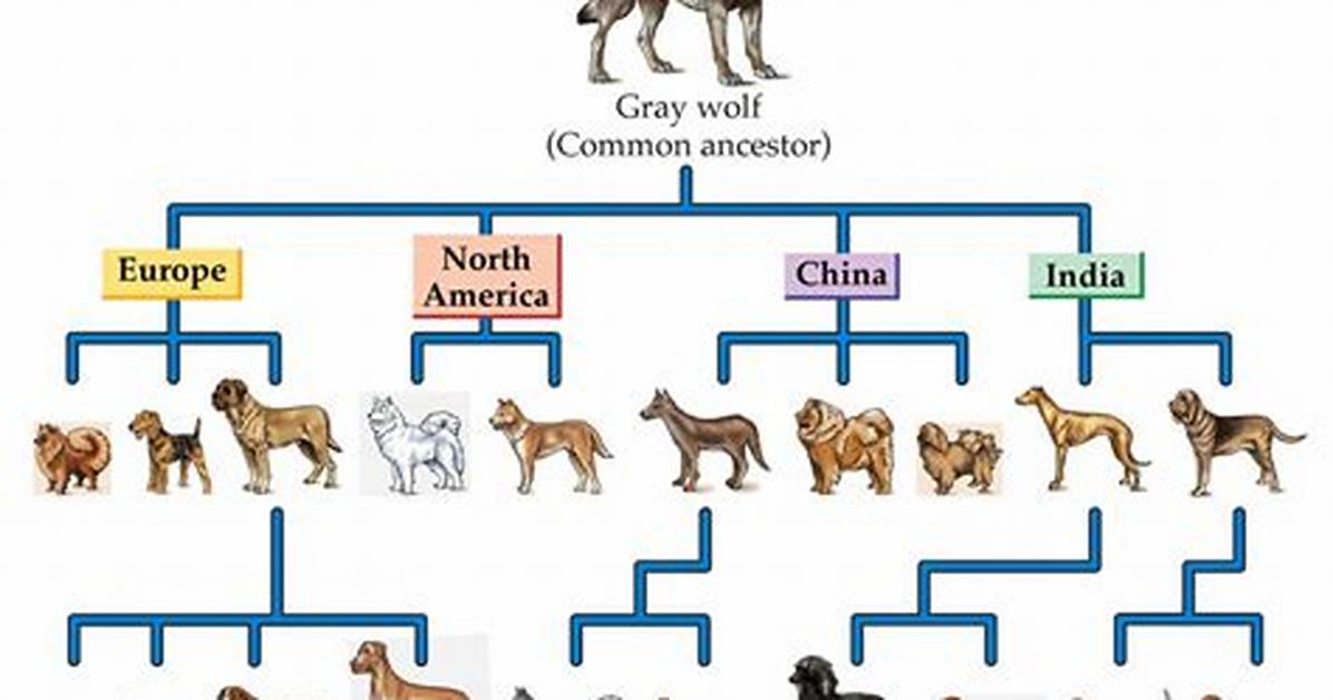 When Did Dogs Evolve?