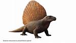 When Did Edaphosaurus Live?