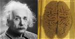When Did Einstein Die?