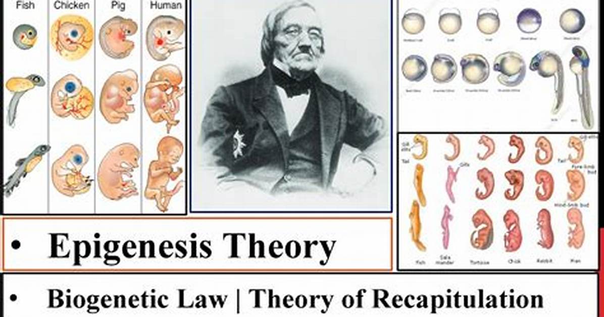 When Did Epigenesis Start?