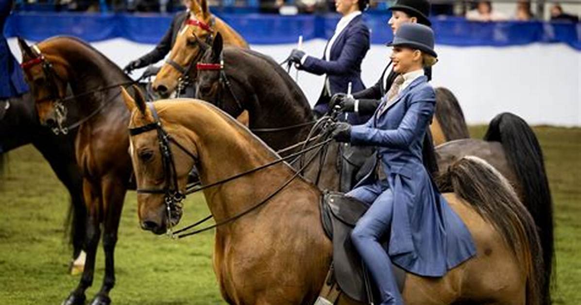 When Did Equitation Begin?