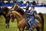 When Did Equitation Begin?