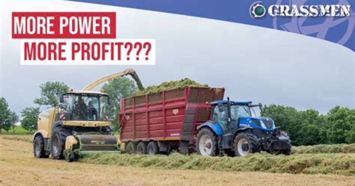When Did Grassmen Start?