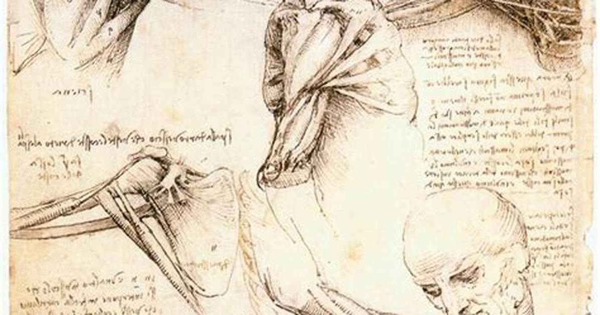 When Did Human Dissections Begin?