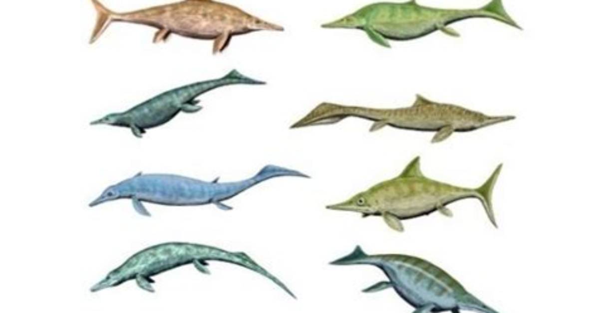 When Did Ichthyosaurs Go Extinct?