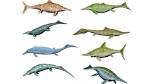 When Did Ichthyosaurs Go Extinct?