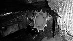 When Did Longwall Mining Began?