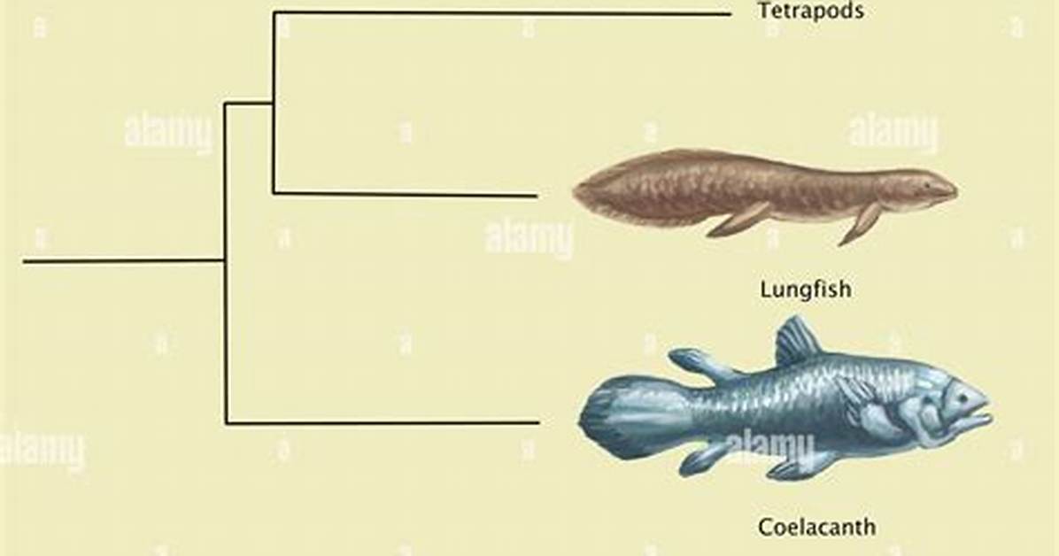 When Did Lungfish Evolve?