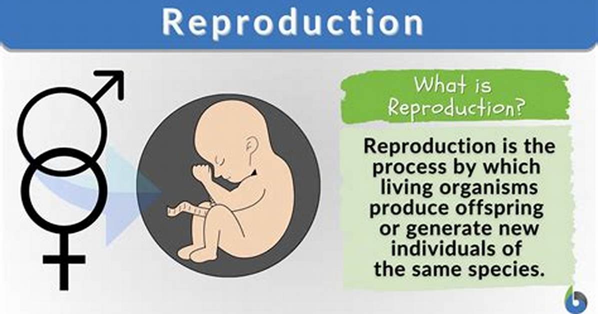 When Did Procreation Evolve?
