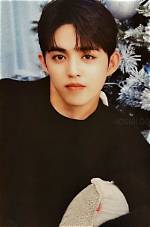 When Did Scoups Join Pledis?