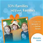 When Did Sdn Start?