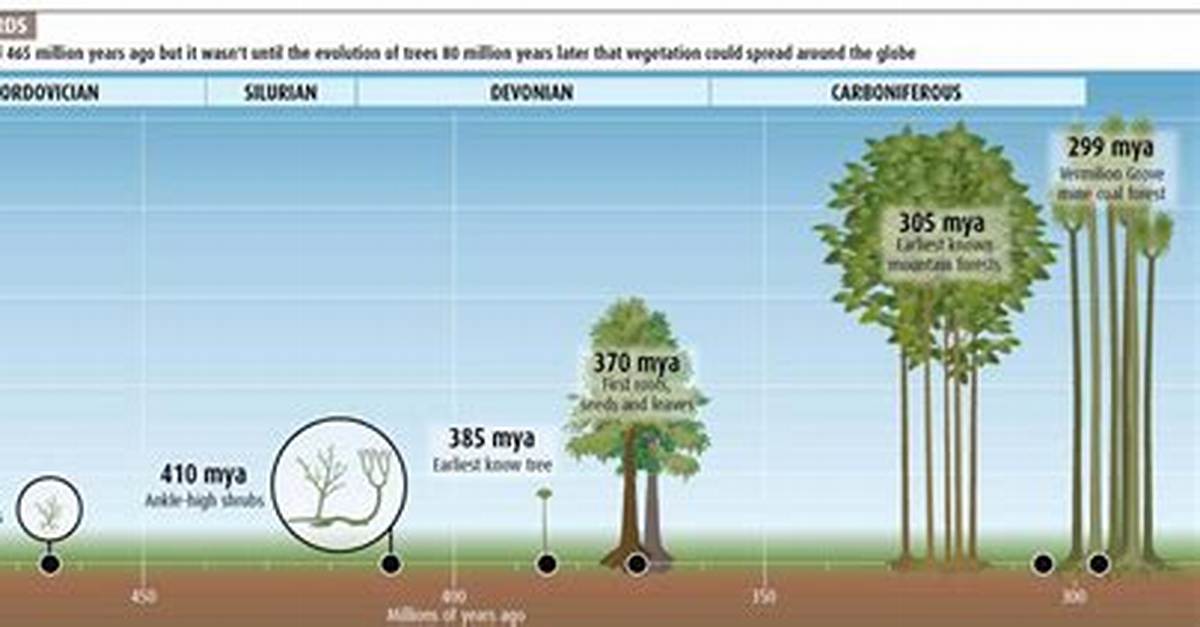 When Did Trees First Appear?