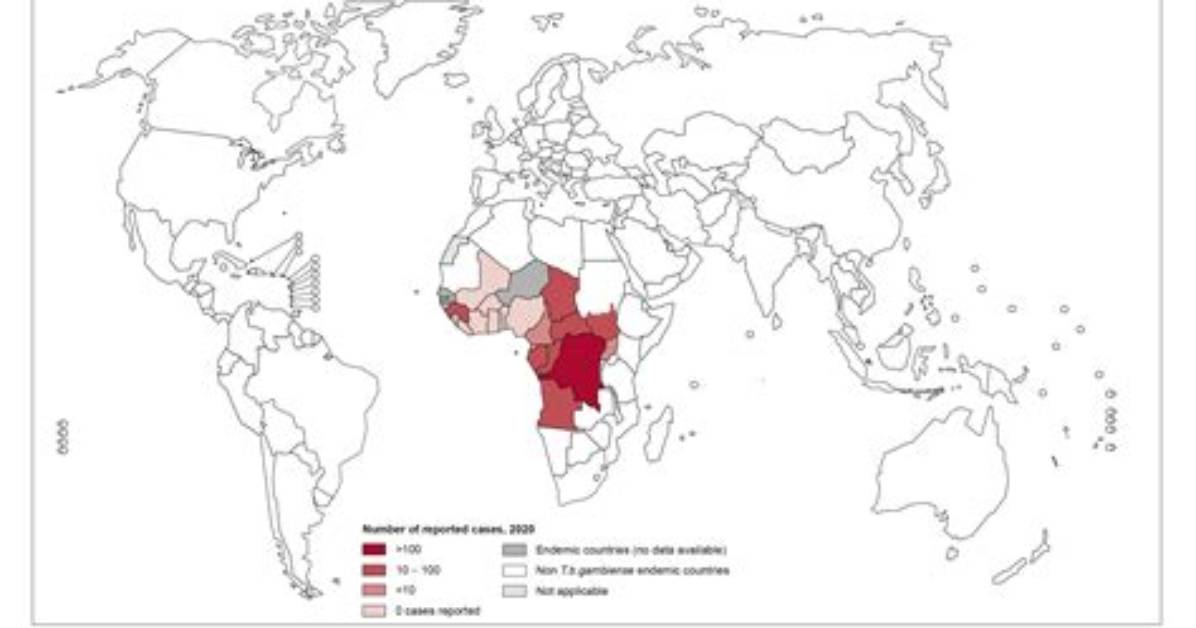 When Did Trypanosomiasis Begin?