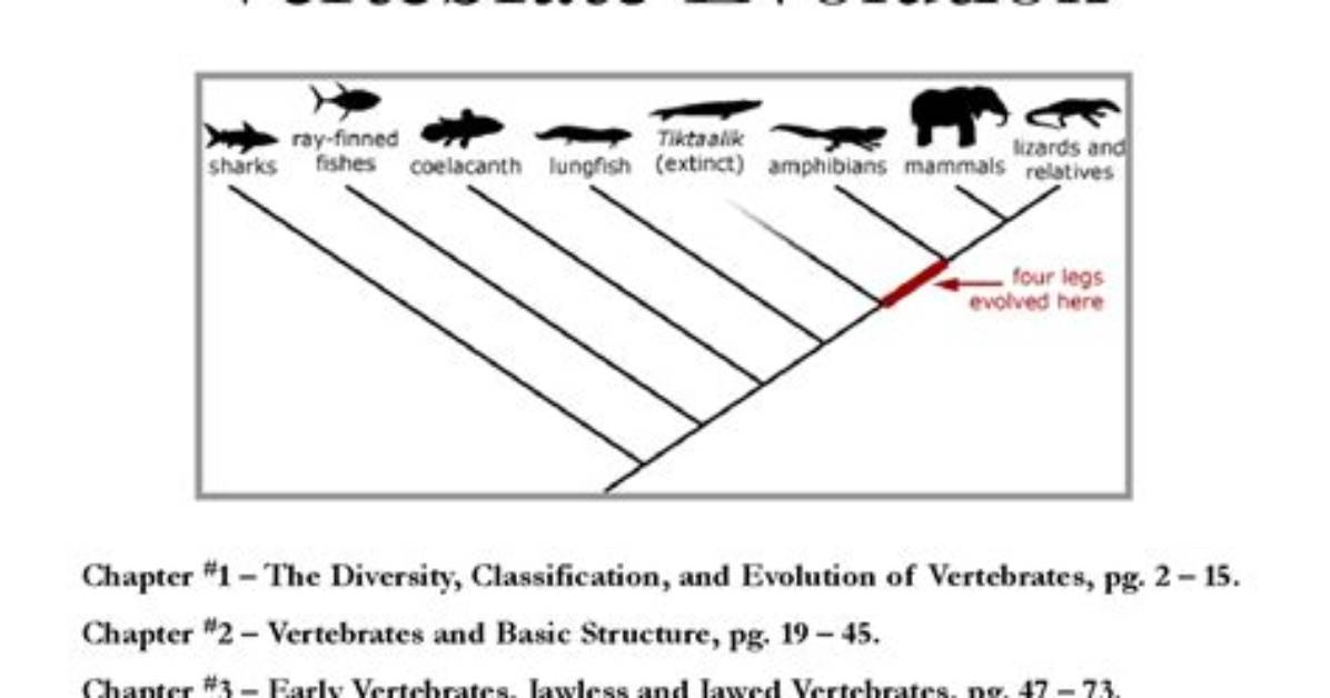 When Did Vertebrates Evolve?