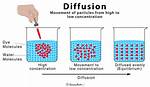 When Diffusing Molecules Move?