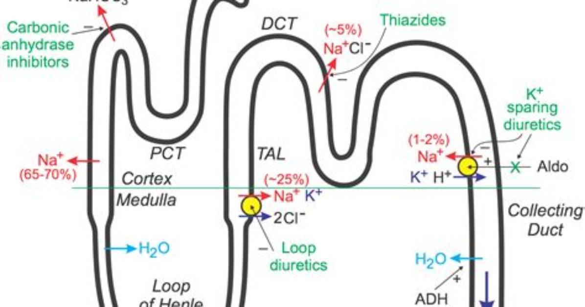 When Diuretics Stop Working?