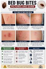 When Do Bed Bug Bites Appear?