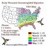 When Do Bramblings Migrate?