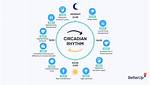 When Do Circadian Rhythms Develop?