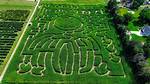 When Do Corn Mazes Open?