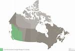 When Do Cougars Mate in Alberta?